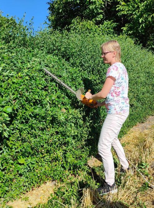 Cutting-bush